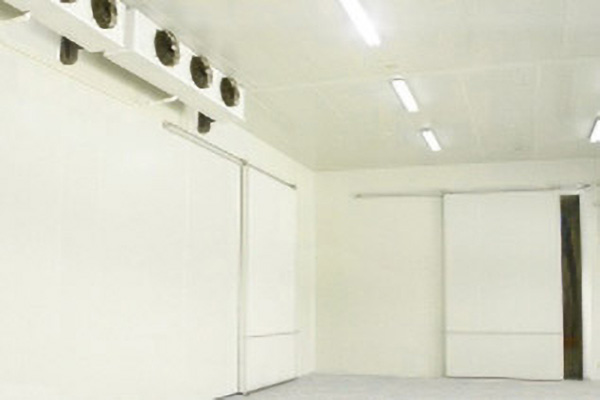 板栗保鲜库 板栗保鲜库