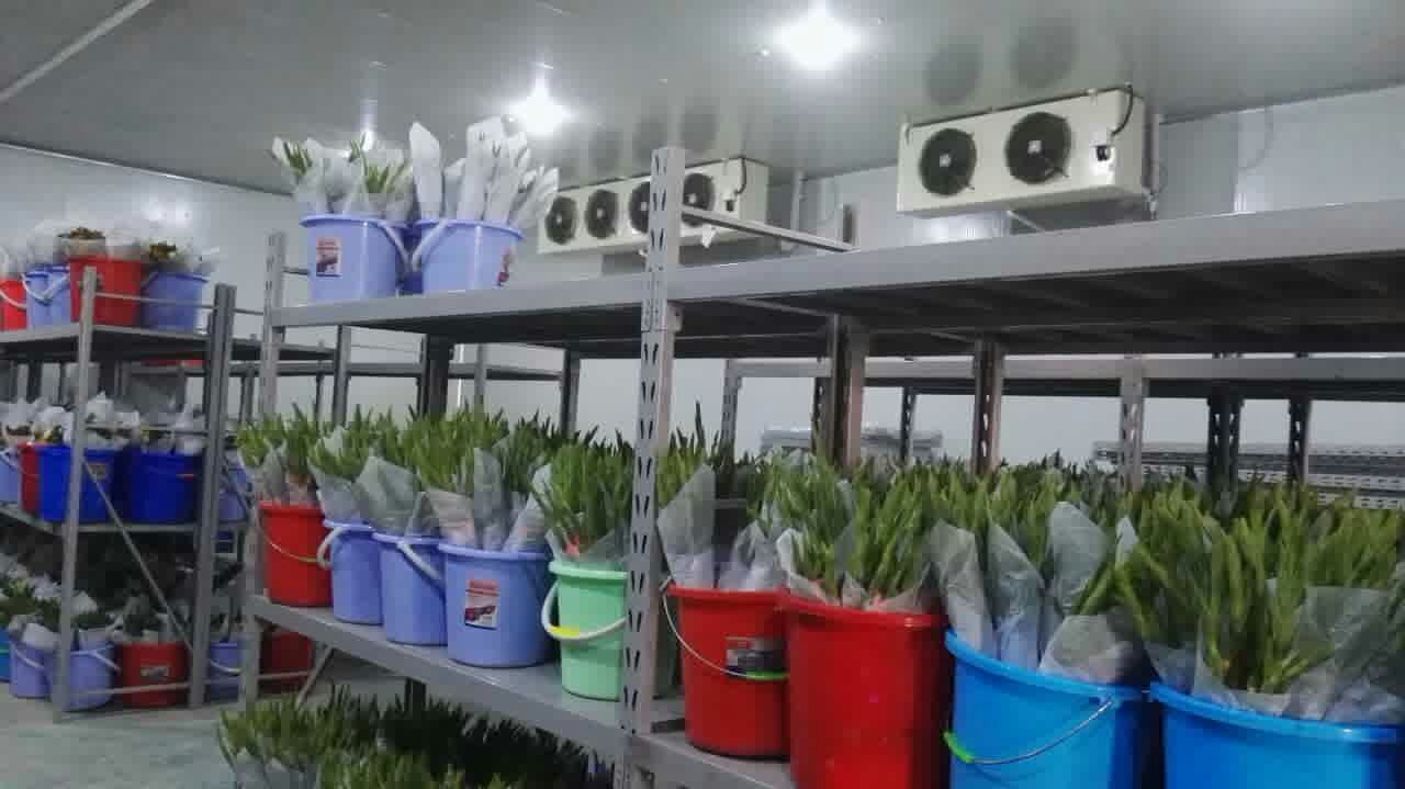 1630312178175574.jpg 003.jpg