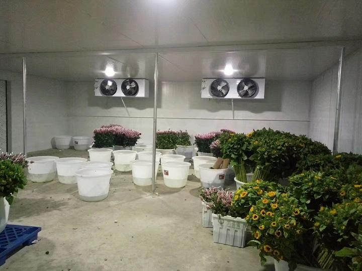 1630312215101314.jpg 002.jpg